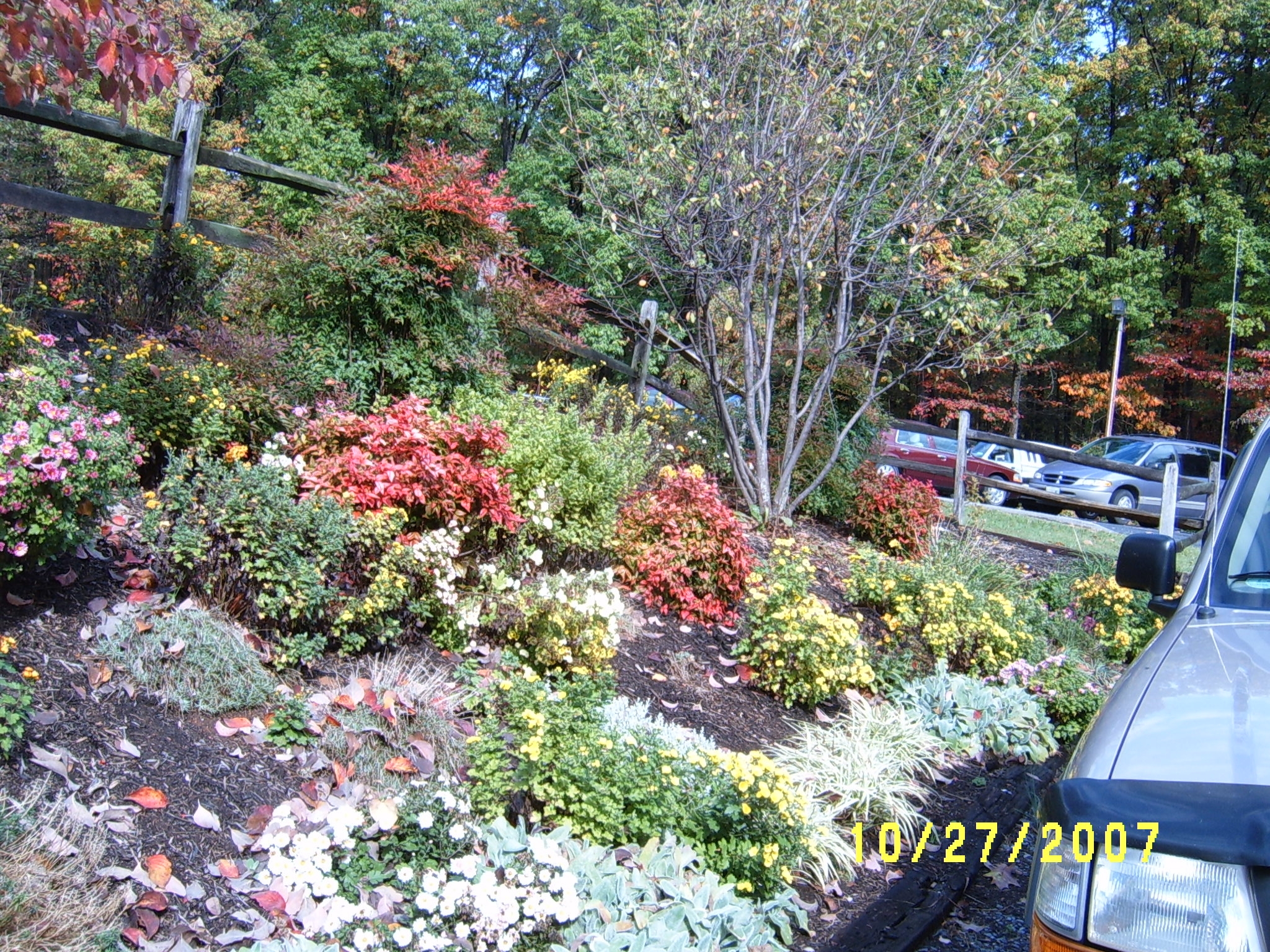 flowergarden1.jpg